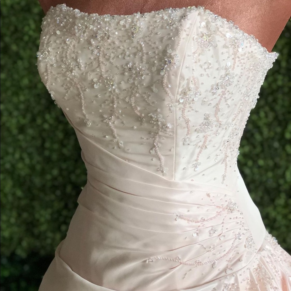 Blush gown - Picture 3 of 5